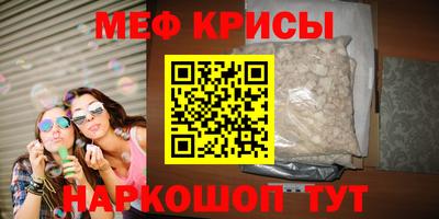 индика Камень-на-Оби