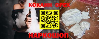 индика Камень-на-Оби