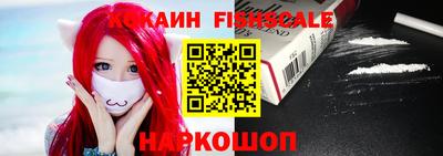 индика Камень-на-Оби