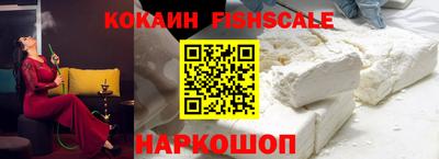 индика Камень-на-Оби