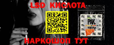 индика Камень-на-Оби