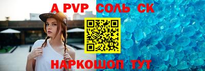 индика Камень-на-Оби