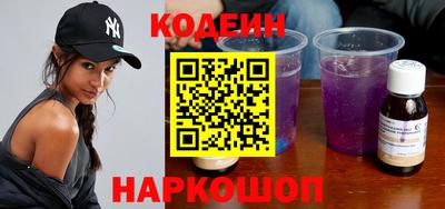 индика Камень-на-Оби