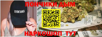 индика Камень-на-Оби