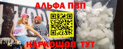 индика Камень-на-Оби