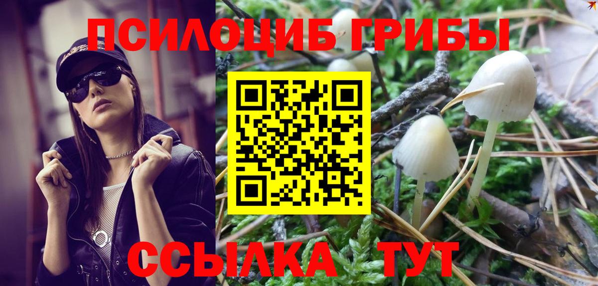 Псилоцибиновые грибы Magic Shrooms Мценск