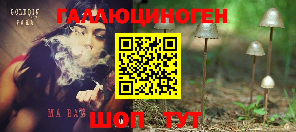 Псилоцибиновые грибы Magic Shrooms  что такое наркотик  Мценск  Вход с VPN 